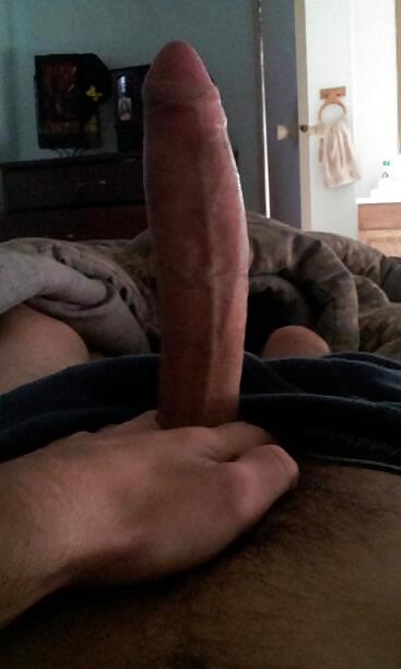 My cock  #16633184