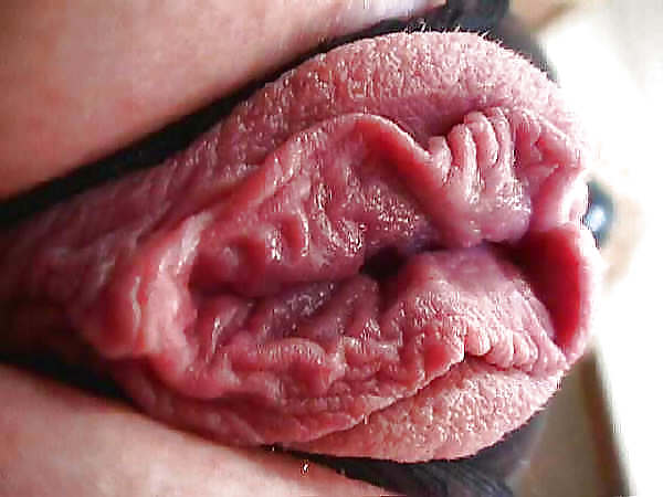 Grande clitoride e labbra 4
 #19471948