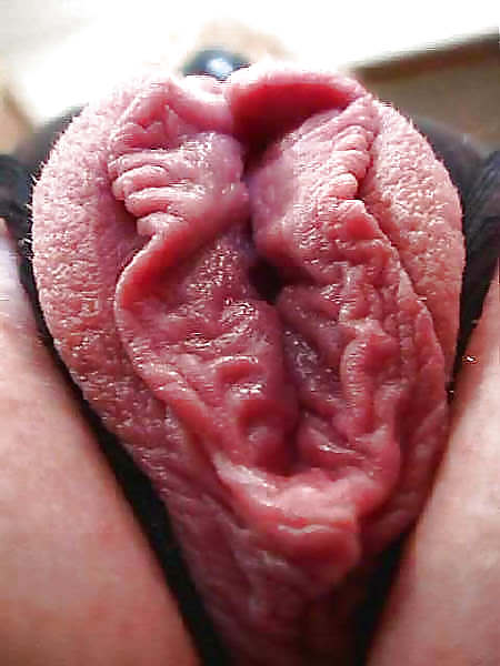 Grande clitoride e labbra 4
 #19472181