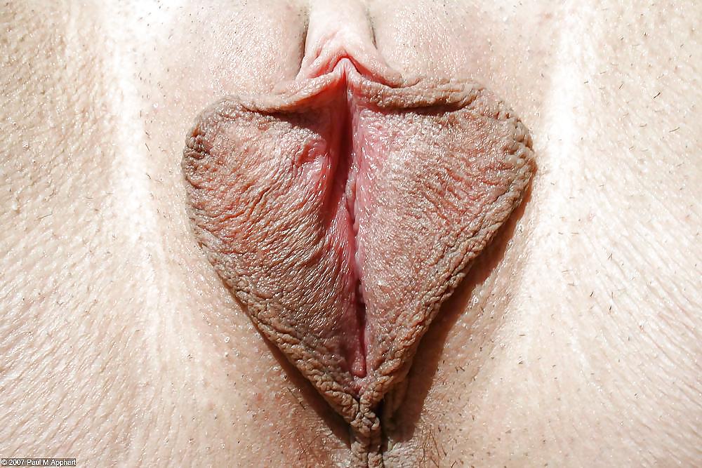 Grande clitoride e labbra 4
 #19472264