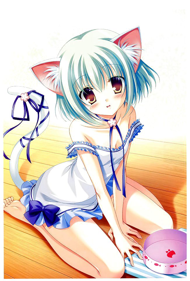 Anime 005
 #17719251