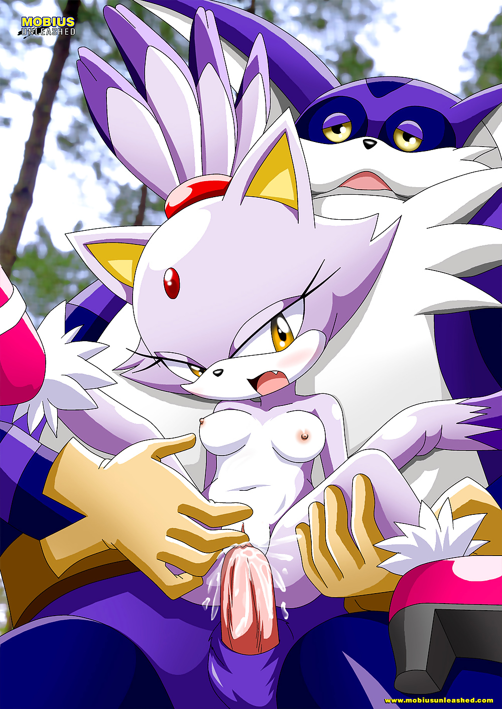 Mobius Unleashed Picture's 01 #17030555