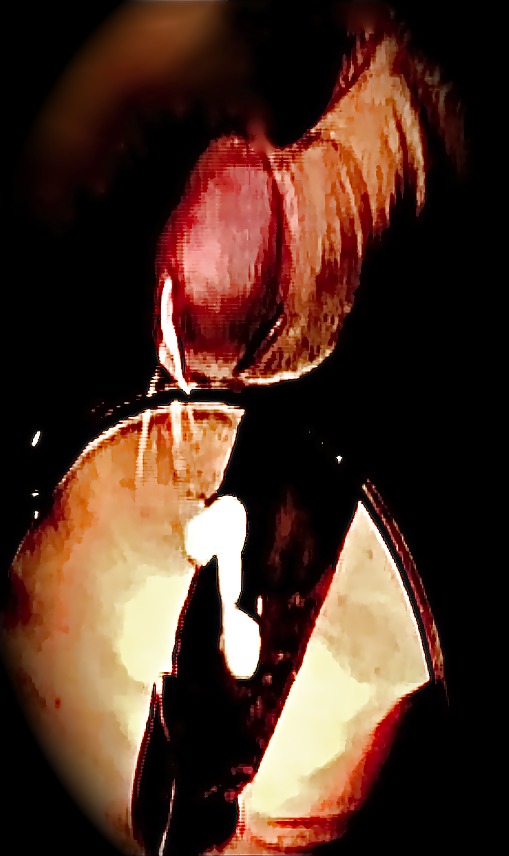 TOP-RATED Cum Sequence