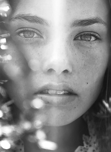 Pecas....
 #12776041