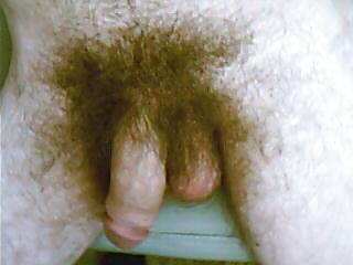 Mi álbum de fotos
 #13178639