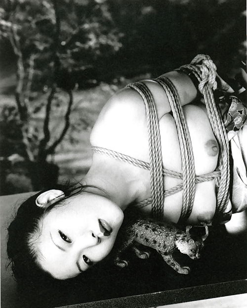 Gloomy and White 350! #9466672