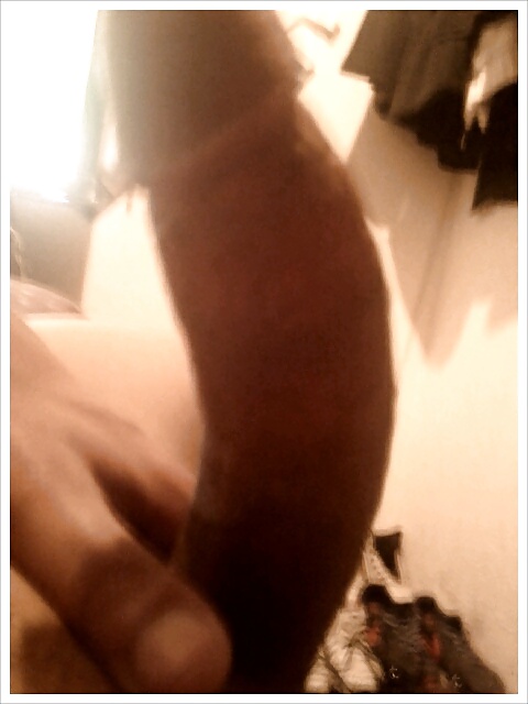 グリンゴ
 #11942121