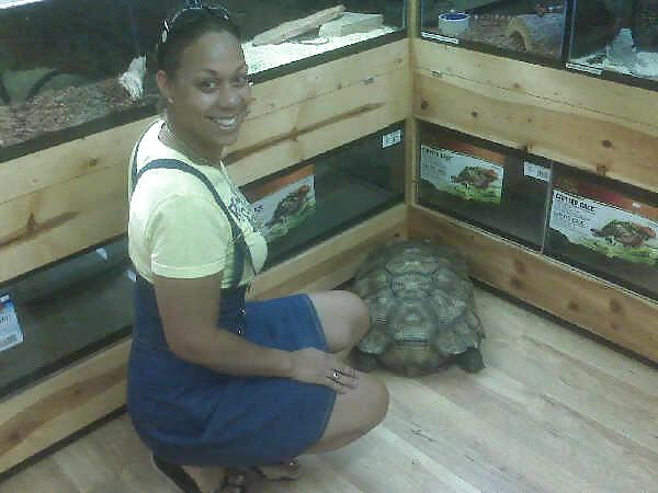 Meine Mutter Und Eine Schildkröte #2833938