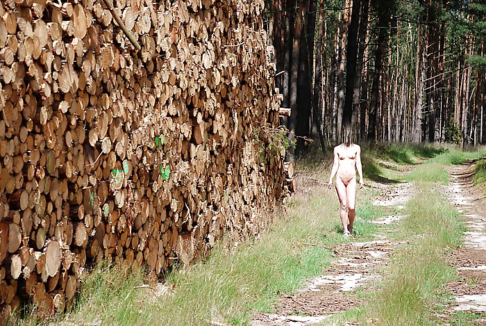 Geiler Wald Spaziergang Marche Cornée à Travers La Forêt #1560937
