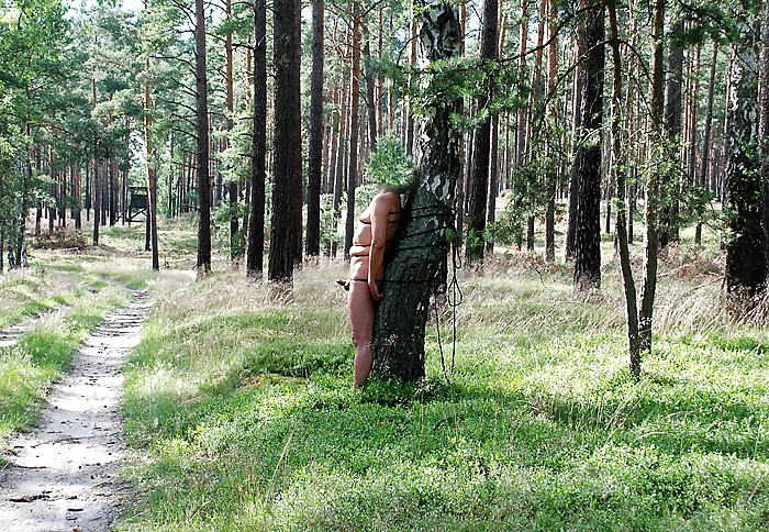 Geiler wald spaziergang horny walk through the forest #1560945
