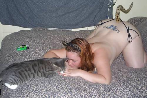 Colas de mascotas 2
 #14146789