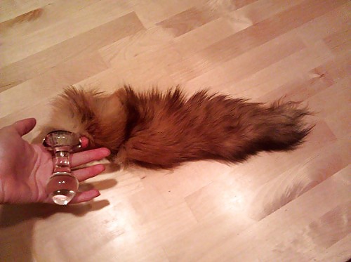 ペットのしっぽ 2
 #14146804