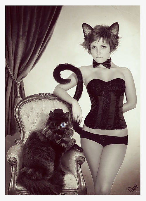 Colas de mascotas 2
 #14146869