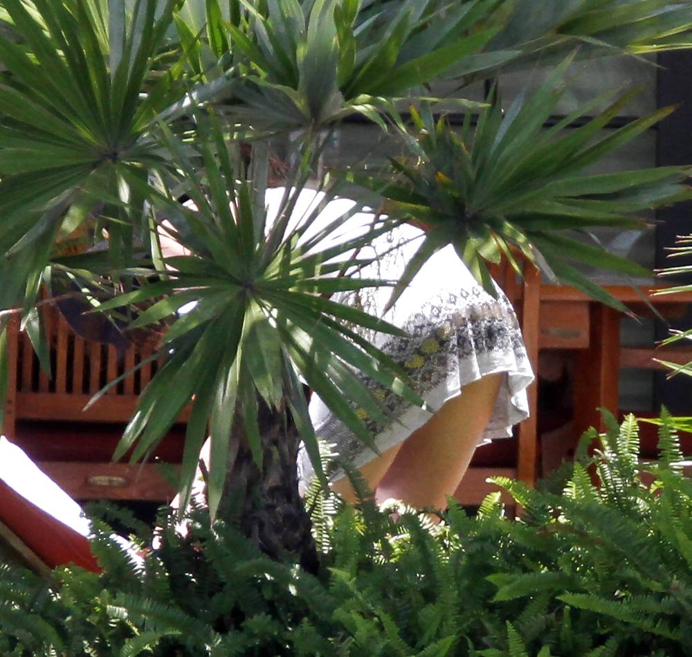 Katy Perry at her Hotel in Miami #4090690
