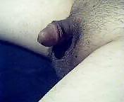 Small cock #5394905