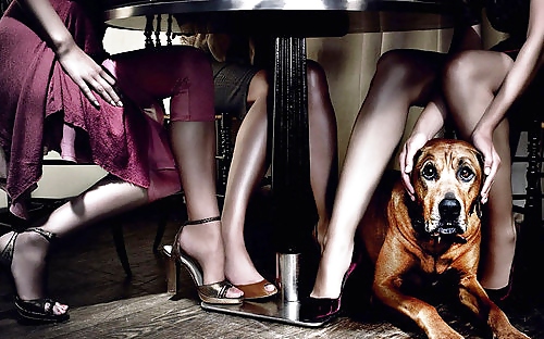 Excessive Heels & Lengthy Legs #9548438