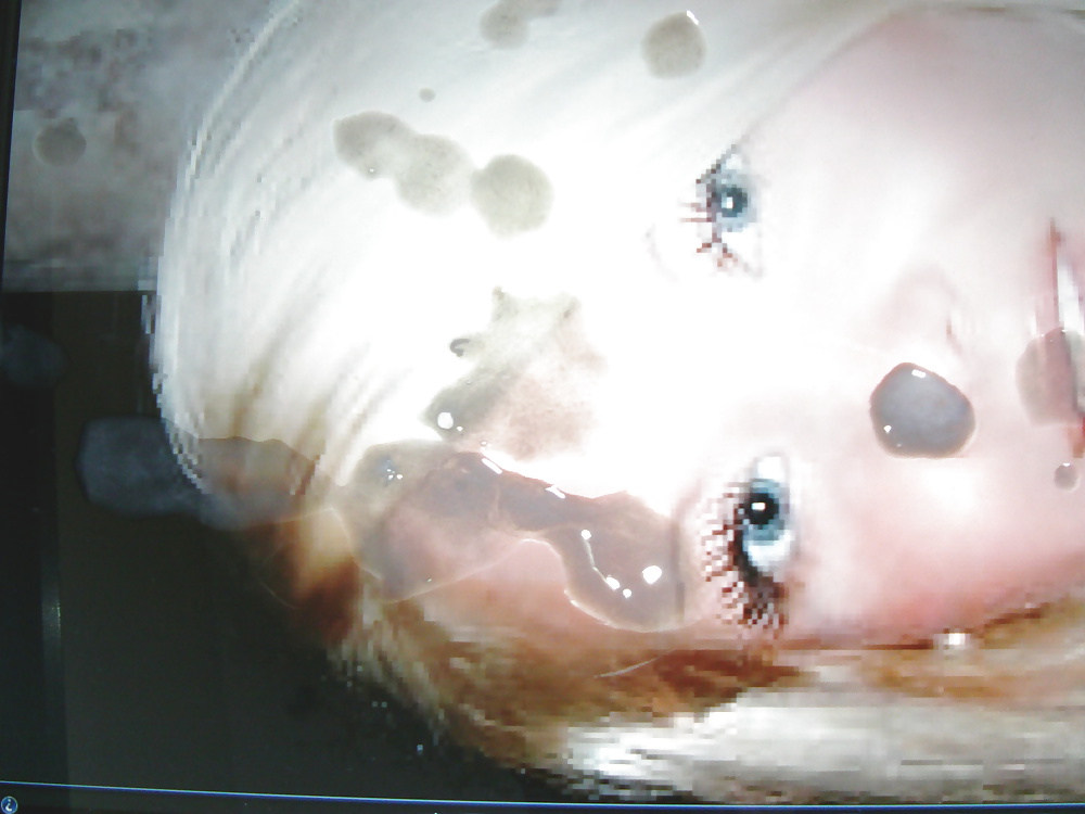 Tossertim Spunks Zoe42 #13572192