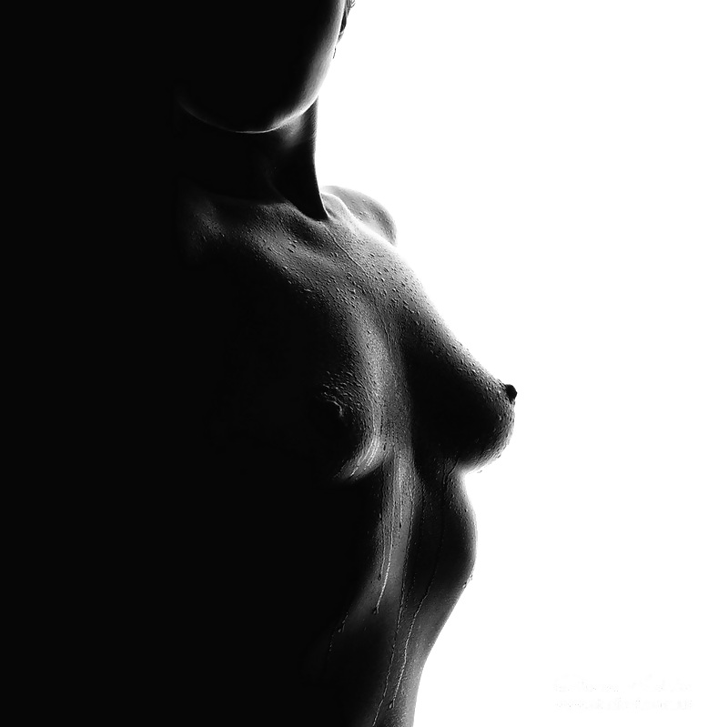 Die Perfektion #6128724