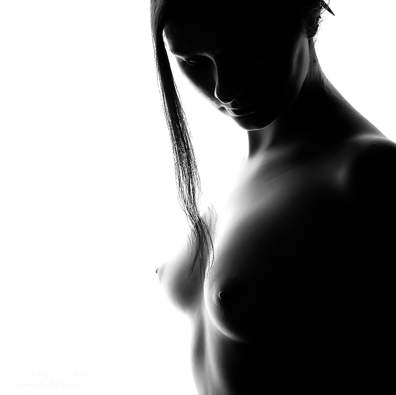 Die Perfektion #6128800