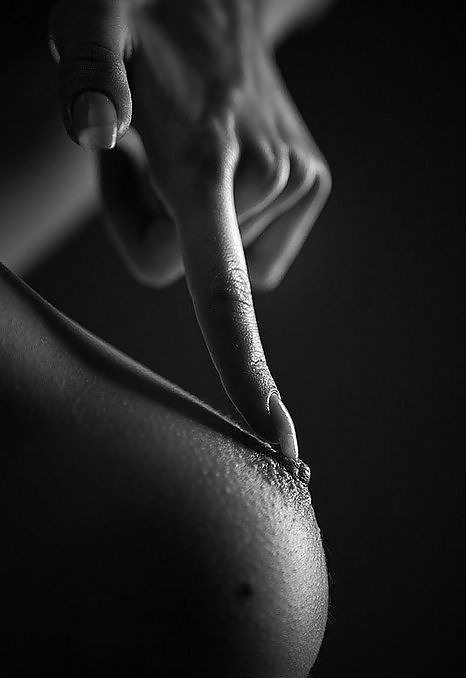 Die Perfektion #6128870