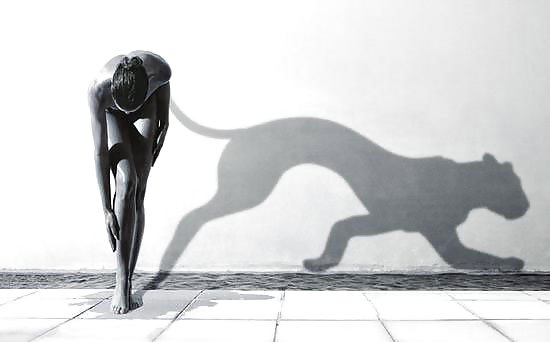 Die Perfektion #6128935