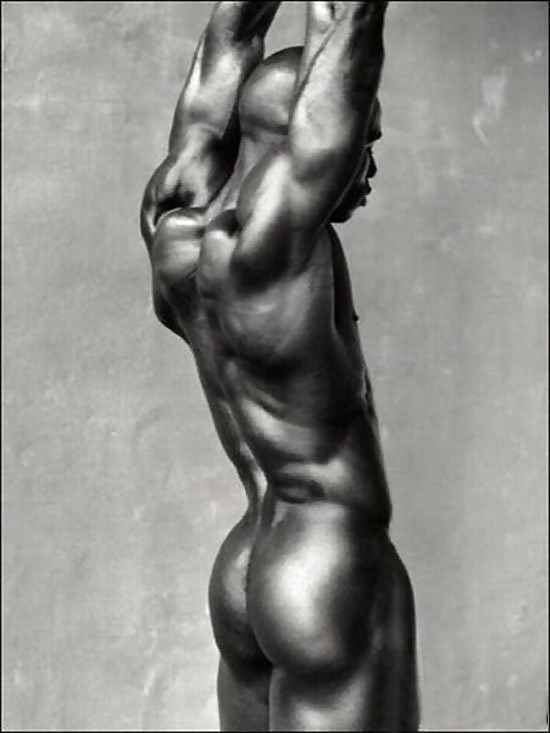 Die Perfektion #6129036