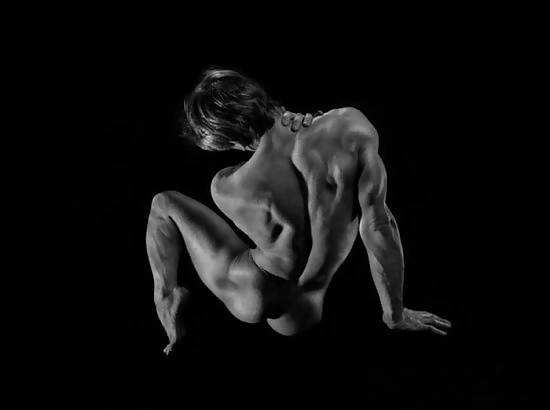 Die Perfektion #6129041