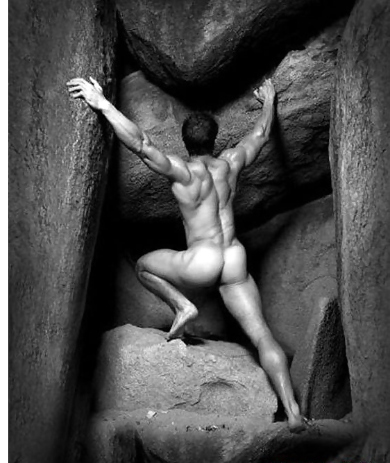 Die Perfektion #6129117