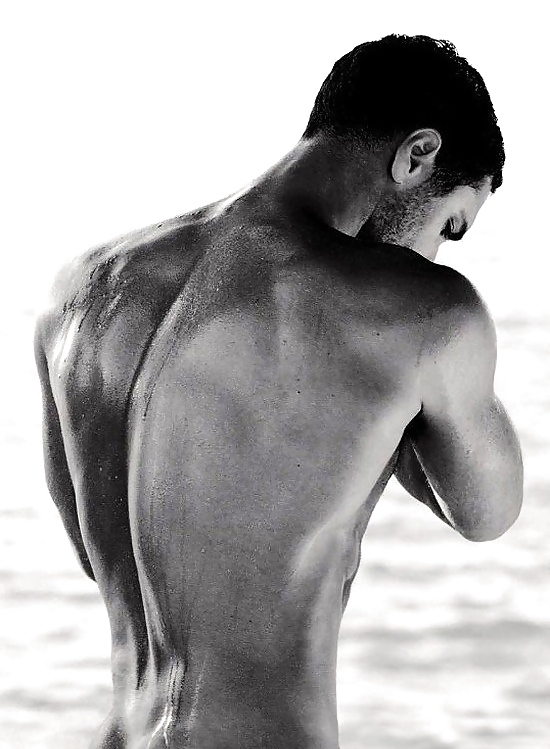 Die Perfektion #6129130