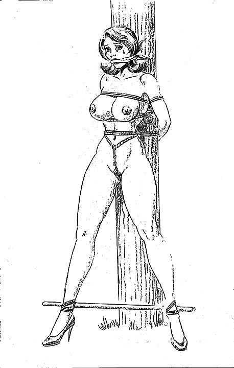 Bondage Toons - Vol. 1 #9501414