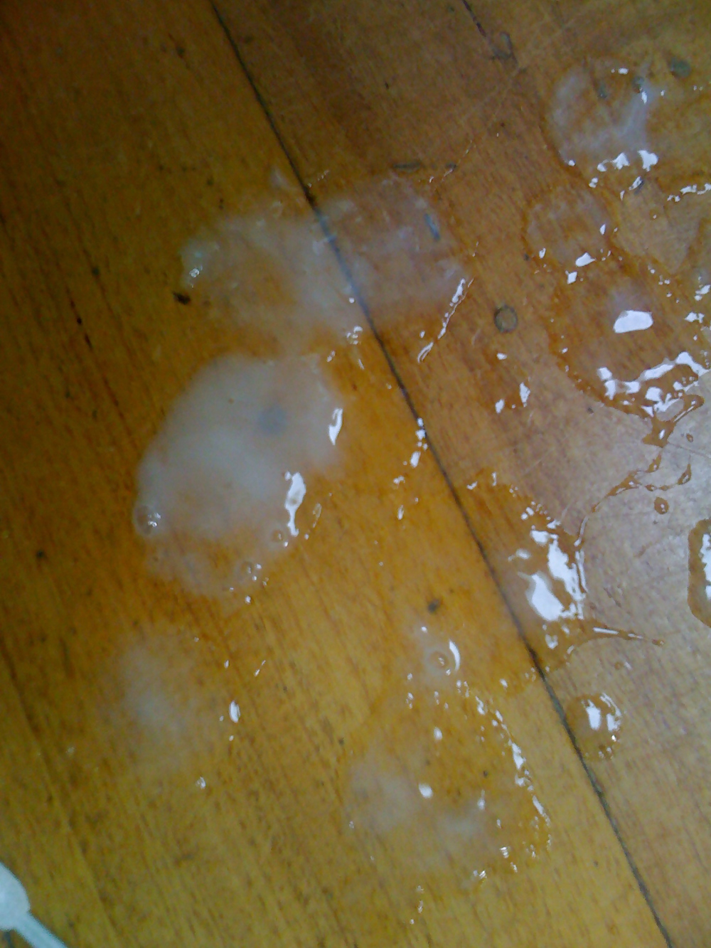 Hot photos of Michelle to revel in... #9970228