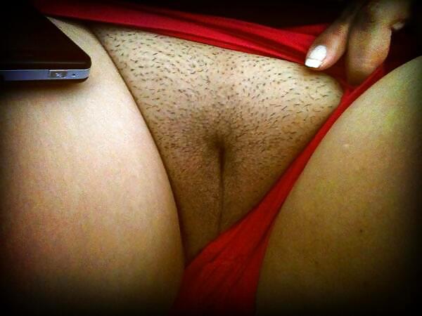 エルシー
 #16658749