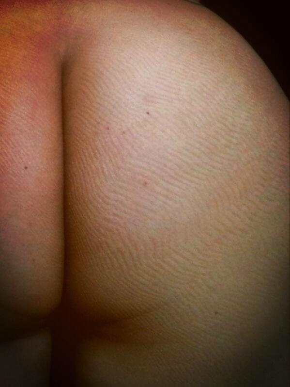 エルシー
 #16658754