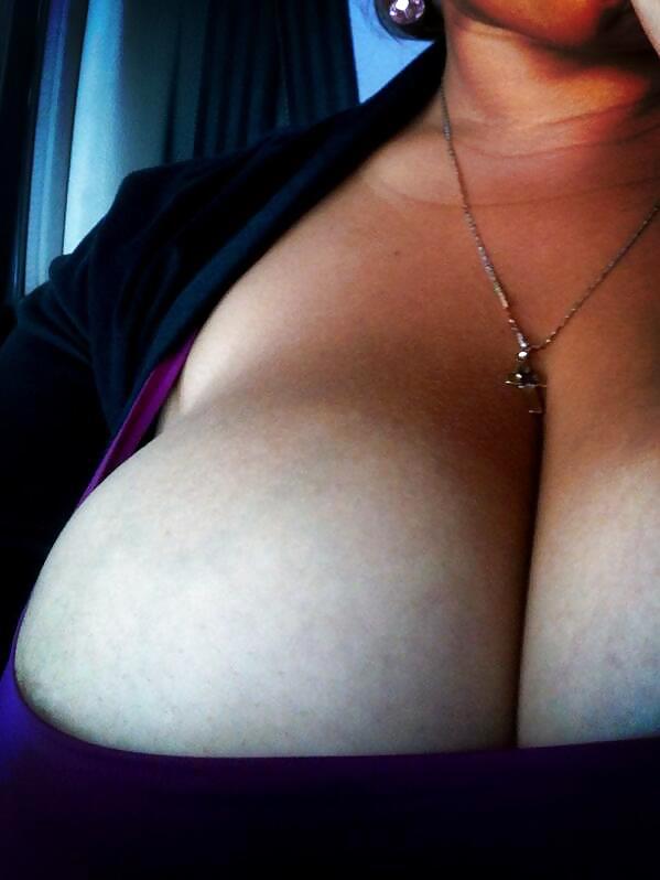 エルシー
 #16658780