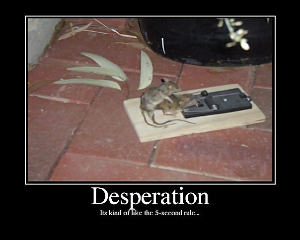 Definition of DESPERATION