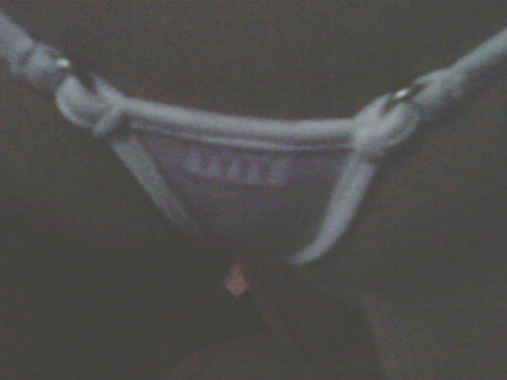 Simplemente yo
 #6909742