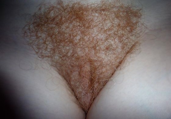Can I Borrow a Razor 5?? #13352074