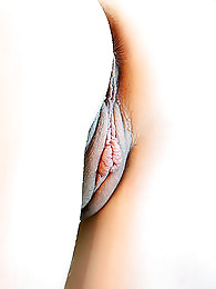 Pussy4 #9775554