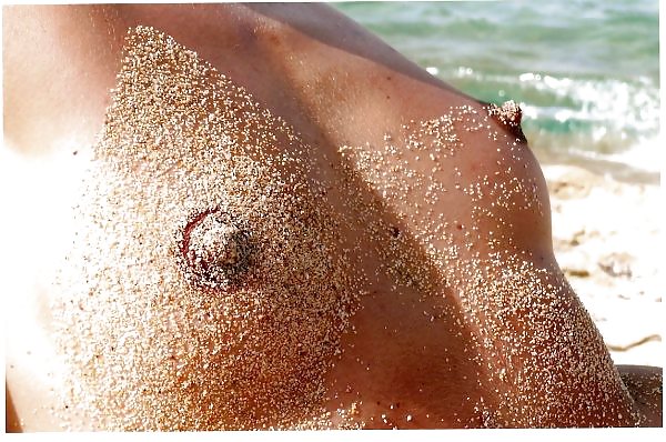 Zorra de Europa
 #5638168