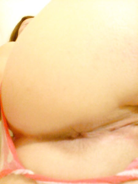 Zorra de Europa
 #5638192