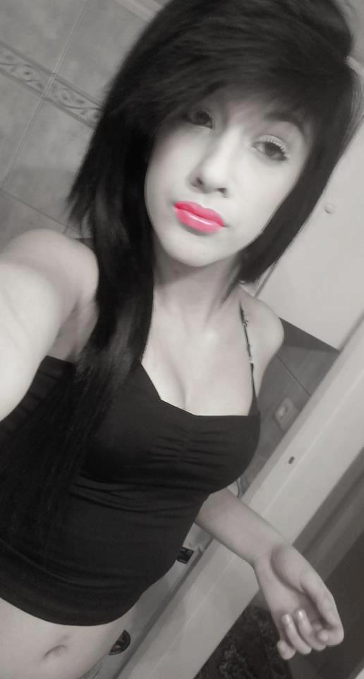 Pipinakia se drash fakelos 13
 #14605826