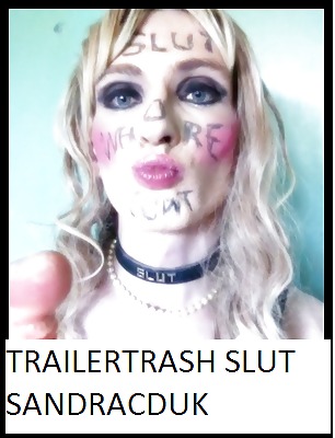 Sandracduk Hure Trailertrash #11346484