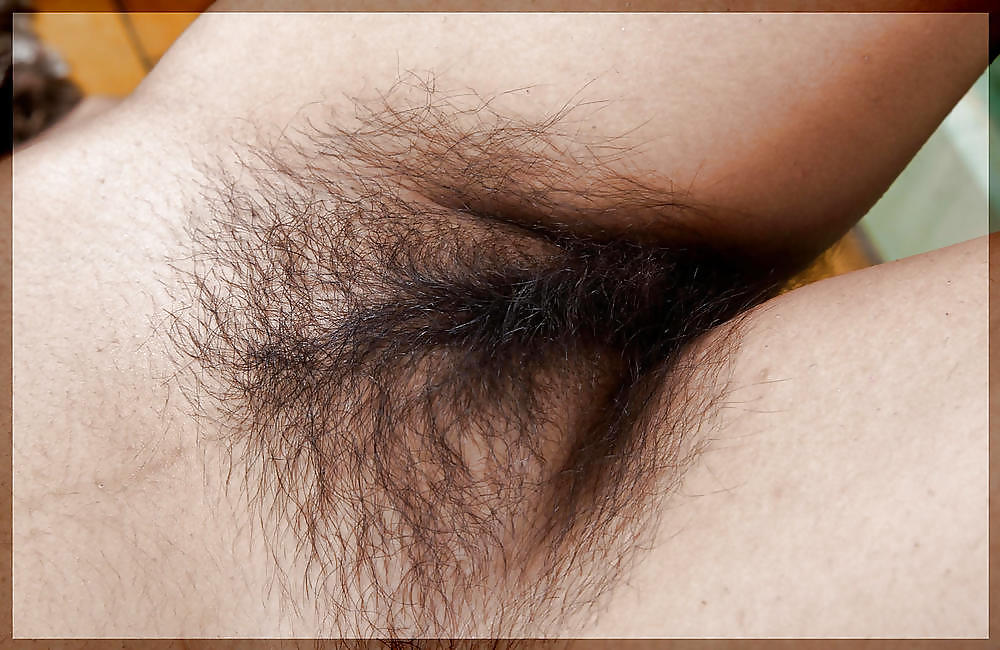 Hairy Cunts I Want to Fuck #18714449