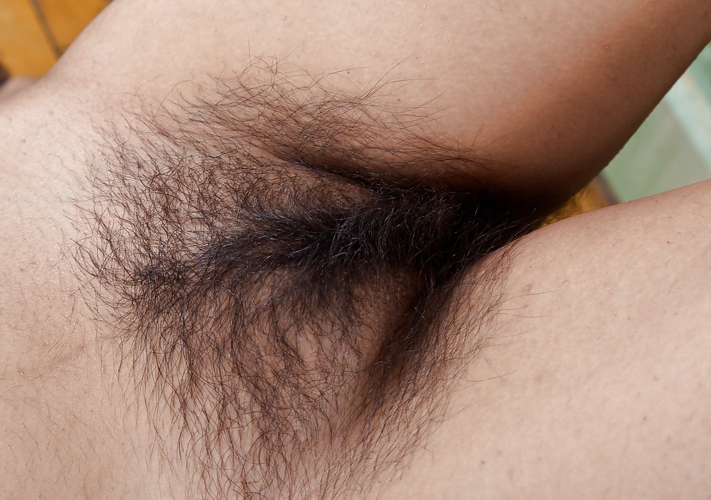 Hairy pussies for your delight #14622452