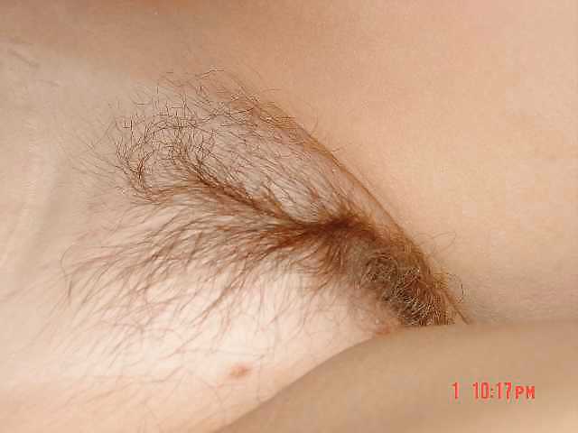 Peludo
 #6923203
