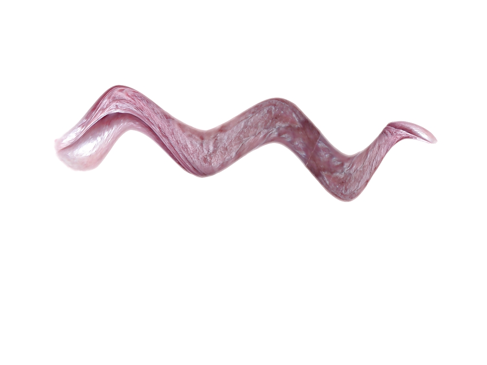 偽物と友人の写真
 #13968268