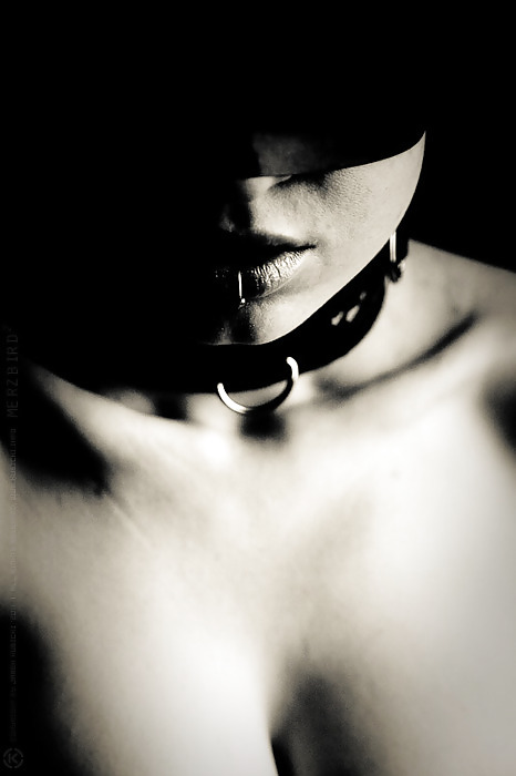 Collared Forty five! #10004544