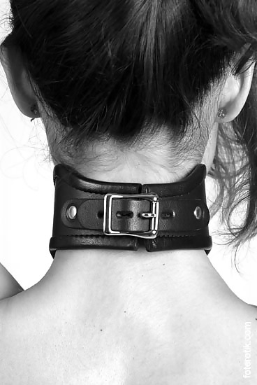 Collared Forty five! #10004622