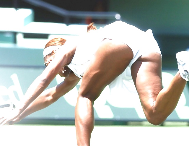 Serena Williams caldo
 #12731381