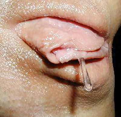 Wet dripping pussy #4988081